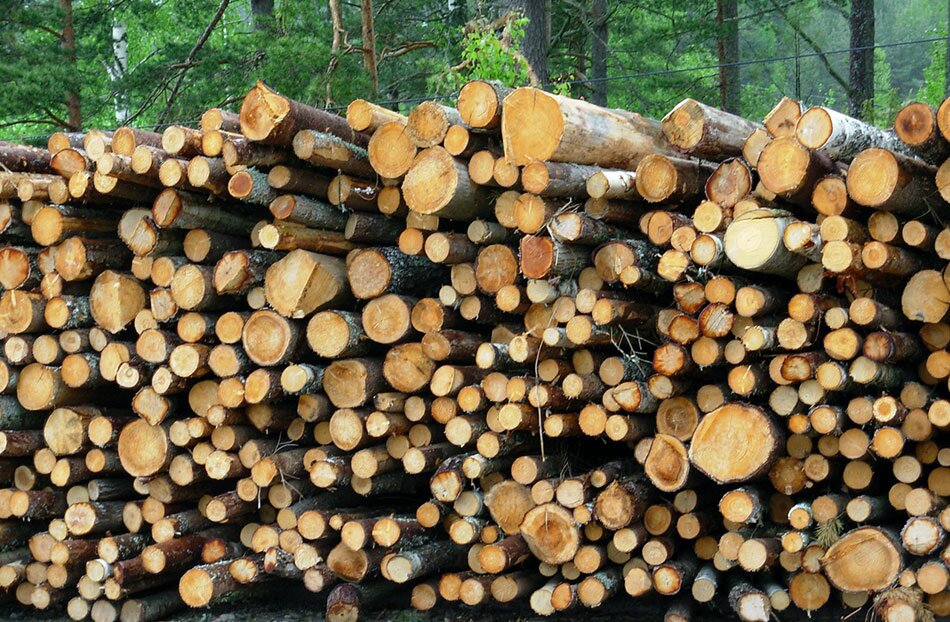 Forestry machinery undercarriage and wear parts – Astrak Forestry machinery undercarriage and wear parts - Astrak